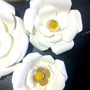 Three flowers for decor